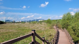 대구시 달성군 대명유수지- 달성습지- 화원동산 트레킹(1) - 산행 발자욱 - 바우들 산악회 대구시 달성군 대명유수지- 달성습지- 화원동산 트레킹(1)