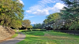 대구시 달성군 대명유수지- 달성습지- 화원동산 트레킹(2) - 산행 발자욱 - 바우들 산악회 대구시 달성군 대명유수지- 달성습지- 화원동산 트레킹(2)