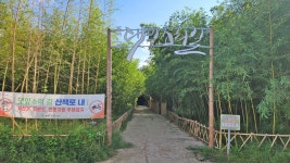 대구시 달성군 죽골댓잎소리길 산책 및 디아크문화관 탐방 트레킹 - 산행 발자욱 - 바우들 산악회 대구시 달성군 죽골댓잎소리길 산책 및... 