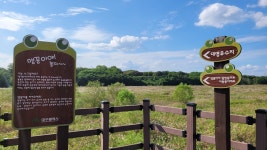 대구시 달성군 대명유수지- 달성습지- 화원동산 트레킹(1) - 산행 발자욱 - 바우들 산악회 대구시 달성군 대명유수지- 달성습지- 화원동산 트레킹(1)