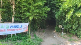 대구시 달성군 죽골댓잎소리길 산책 및 디아크문화관 탐방 트레킹 - 산행 발자욱 - 바우들 산악회 대구시 달성군 죽골댓잎소리길 산책 및... 