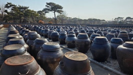 전북 익산 고스락 이화동산- 전통옹기 장독항아리 정원 탐방... 경북대ROTC9기 전북 익산 고스락 이화동산- 전통옹기 장독항아리 정원 탐방