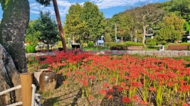 대구시 달성군 대명유수지- 달성습지- 화원동산 트레킹(2) - 산행 발자욱 - 바우들 산악회 대구시 달성군 대명유수지- 달성습지- 화원동산 트레킹(2)