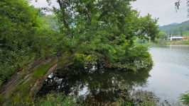 경산시 남산면 반곡지(盤谷池) 탐방 - 산행 발자욱 - 바우들 산악회 경산시 남산면 반곡지(盤谷池) 탐방