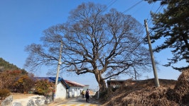 전북 익산 무학산(100.3m)- 용두산(61.4m) - 산여울의 산행일기 - 경북대ROTC9기 전북 익산 무학산(100.3m)- 용두산(61.4m)