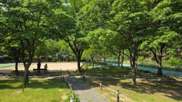 대구 달서구 월광수변공원 탐방 및 도원지 둘레길 트레킹 - 산여울의... 경북대ROTC9기 대구 달서구 월광수변공원 탐방 및 도원지 둘레길 트레킹