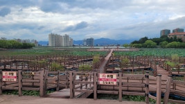 경산시 경산자연마당 탐방 및 남매공원 둘레길 트레킹 - 산행 발자욱 - 바우들 산악회 경산시 경산자연마당 탐방 및 남매공원 둘레길 트레킹