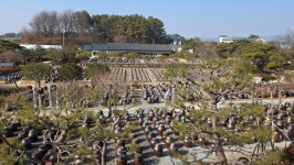 전북 익산 고스락 이화동산- 전통옹기 장독항아리 정원 탐방 - 산여울의 산행일기 - 경북대ROTC9기 전북 익산 고스락 이화동산- 전통옹기... 
