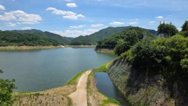 경북 영주 영주호 용마루공원 영주댐전망대 및 용천루 출렁다리 트레킹 & 영주 무섬마을 및 예천 석송령 탐방 - 산행 후기 - 백호트래킹 경북 영주... 