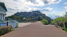 대구시 달성군 대명유수지- 달성습지- 화원동산 트레킹(1) - 산행 발자욱 - 바우들 산악회 대구시 달성군 대명유수지- 달성습지- 화원동산 트레킹(1)