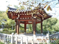 청도 와호산(493.0m)- 방음앞산(407.0m) 산행 & 운문사 솔바람길- 운문산생태탐방로 트레킹(1) - 산행 발자욱 - 바우들 산악회 청도 와호산...