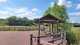 대구시 달성군 대명유수지- 달성습지- 화원동산 트레킹(1) - 산행 발자욱 - 바우들 산악회 대구시 달성군 대명유수지- 달성습지- 화원동산 트레킹(1)