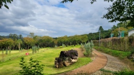 칠곡군 핑크뮬리 명소 가산수피아 가을나들이 - 산행 발자욱 - 바우들 산악회 칠곡군 핑크뮬리 명소 가산수피아 가을나들이