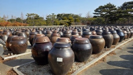 전북 익산 고스락 이화동산- 전통옹기 장독항아리 정원 탐방 - 산여울의 산행일기 - 경북대ROTC9기 전북 익산 고스락 이화동산- 전통옹기... 