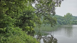 경산시 남산면 반곡지(盤谷池) 탐방 - 산행 발자욱 - 바우들 산악회 경산시 남산면 반곡지(盤谷池) 탐방