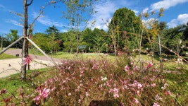 대구시 달성군 대명유수지- 달성습지- 화원동산 트레킹(1) - 산행 발자욱 - 바우들 산악회 대구시 달성군 대명유수지- 달성습지- 화원동산 트레킹(1)