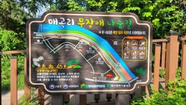 대구시 달성군 죽골댓잎소리길 산책 및 디아크문화관 탐방 트레킹 - 산행 발자욱 - 바우들 산악회 대구시 달성군 죽골댓잎소리길 산책 및... 