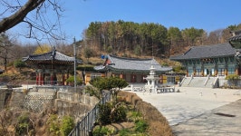 경남 진주 대룡산(140.0m) 산책로 트레킹 및 초전공원 탐방... 경북대ROTC9기 경남 진주 대룡산(140.0m) 산책로 트레킹 및 초전공원 탐방