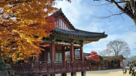 안동향교 의례보존회에서 가은 영화촬영장을 다녀와서 - ● 오토산님 문화 탐방 ☆ - 내고향 안동 안동향교 의례보존회에서 가은 영화촬영장을... 