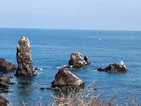 ㅡ26년 3월 제주도ㅡ - ―작품 사진집 - 씨뿌리는 농사꾼 ㅡ26년 3월 제주도ㅡ