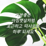 우리앞에 남은 세월은, - ‥‥공유 ♡ 좋은글 - 향기있는 좋은글 우리앞에 남은 세월은,