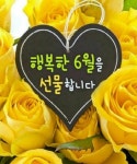 6월의 시 - ◈ 감동 좋은글 ◈ - 코스모스화원 6월의 시