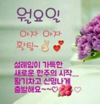 문자하나 전송합니다^^ - ◈ 감동 좋은글 ◈ - 코스모스화원 문자하나 전송합니다^^