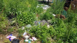 포승읍 주민자치위원회 2021년 5월 월례회 - 주민자치회 - 포승읍사무소 포승읍 주민자치위원회 2021년 5월 월례회