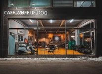 Wheeliedog윌리독 - 경기도 - ROUTE777 Wheeliedog윌리독