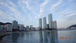 2025.2.6.송도 암남공원 - ***종합,사진실 - 부산 山 사람 2025.2.6.송도 암남공원
