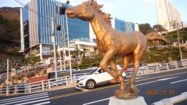 2024.12.1.영도 봉래산 태종대 - ***일-반-사-진 - 부산 山 사람 부산 山 사람