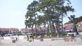 2025.6.1.울산 대왕암공원 - ***종합,사진실 - 부산 山 사람 2025.6.1.울산 대왕암공원