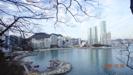 2025.2.6.송도 암남공원 - ***종합,사진실 - 부산 山 사람 2025.2.6.송도 암남공원
