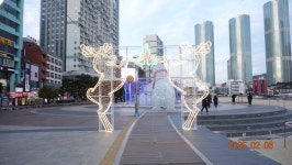 2025.2.6.송도 암남공원 - ***종합,사진실 - 부산 山 사람 2025.2.6.송도 암남공원