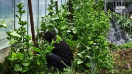 즐거운 남초농장_6월28일 - 남초회농장(실습장)게시판 - 방송대 남초회 즐거운 남초농장_6월28일