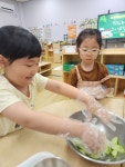하늘반의 텃밭수확과 요리활동🥒 - 2025 해와달 텃밭 - 해와달 어린이집 해와달 어린이집
