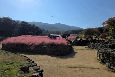 경상북도 칠곡군 가산면 학하리 “가산수피아 (架山SUPIA)”- 2025.... 칠곡군 가산면 학하리 “가산수피아 (架山SUPIA)”- 2025.11.02