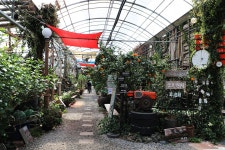 13.제주(濟州) 서귀포시 하례로 쇠소깍 산물 관광농원(觀光農園) - 2025.04.18 - 일반 게시판 - 대륜고등학교 제25회(통합49회) 동기회 13.... 