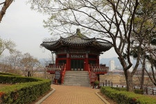 대구 동구 동촌(東村) 아양교(峨洋橋)의 봄(春) - 2026.04.01 - 일반 게시판 - 대륜고등학교 제25회(통합49회) 동기회 대구 동구 동촌(東村)... 