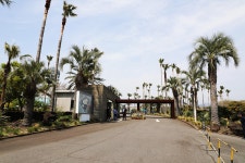 04.16 - 일반 게시판 - 대륜고등학교 제25회(통합49회) 동기회 3.제주(濟州) 서귀포시 색달동 여미지식물원 (如美地植物園) - 2025.04.16 