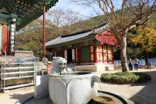 구례(求禮) 천은사(泉隱寺) 전라남도 구례군 광의면 방광리 – 2025.11.16 - 일반 게시판 - 대륜고등학교 제25회(통합49회) 동기회 구례(求禮) 