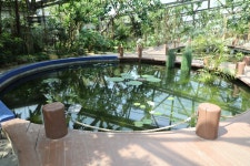 04.16 - 일반 게시판 - 대륜고등학교 제25회(통합49회) 동기회 3.제주(濟州) 서귀포시 색달동 여미지식물원 (如美地植物園) - 2025.04.16 