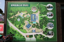 제주(濟州) 남원 편백, 토종 흑염소목장 (扁柏, 土種 黑염소牧場) 과... 제주(濟州) 남원 편백, 토종 흑염소목장 (扁柏, 土種 黑염소牧場)... 
