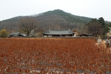 “인흥(仁興)마을”대구광역시 달성군 본리리 – 2026.03.15 - 일반... 동기회 “인흥(仁興)마을”대구광역시 달성군 본리리 – 2026.03.15