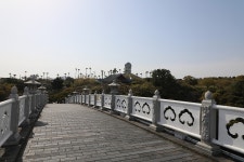 4.제주(濟州) 서귀포시 중문동 천제연 폭포 (天帝淵 瀑布) -2025.04.16 - 일반 게시판 - 대륜고등학교 제25회(통합49회) 동기회 4.제주... 