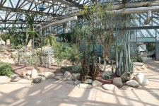 3.제주(濟州) 서귀포시 색달동 여미지식물원 (如美地植物園) - 2025.04.16 - 일반 게시판 - 대륜고등학교 제25회(통합49회) 동기회 3.제주... 