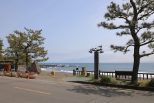 13.제주(濟州) 서귀포시 하례로 쇠소깍 산물 관광농원(觀光農園)... 제주(濟州) 서귀포시 하례로 쇠소깍 산물 관광농원(觀光農園)... 
