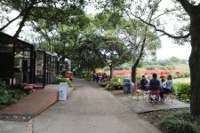 20.제주(濟州) 서귀포시 안덕면 카멜리아힐 (Camelliahill) ② - 2025.04.19 - 일반 게시판 - 대륜고등학교 제25회(통합49회) 동기회... 