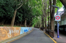 ①부산시 중구 광복동 2가 용두산공원 (龍頭山公園), 남포동 자갈치 시장 (市場)– 2025.10.13 - 일반 게시판 - 대륜고등학교 제25회... 