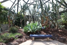 04.16 - 일반 게시판 - 대륜고등학교 제25회(통합49회) 동기회 3.제주(濟州) 서귀포시 색달동 여미지식물원 (如美地植物園) - 2025.04.16 